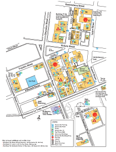 We Design and Prepare Mobility Maps, Create High Contrast Tactile Maps